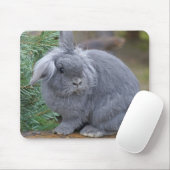 Kaninchen Mousepad (Mit Mouse)