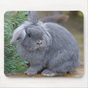 Kaninchen Mousepad