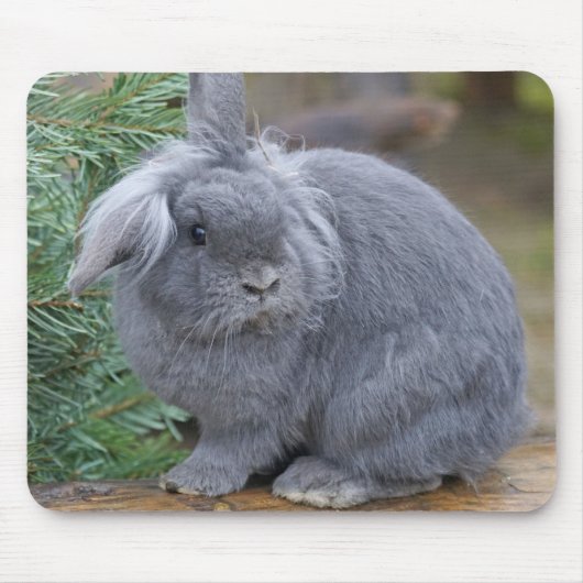 Kaninchen Mousepad (Vorne)