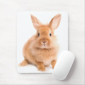 Kaninchen Mousepad (Mit Mouse)