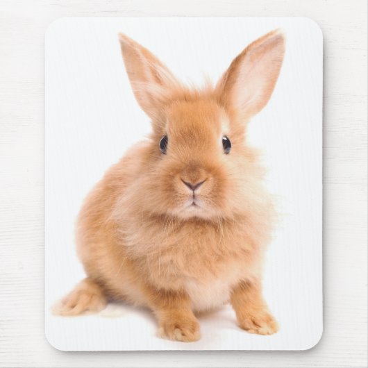 Kaninchen Mousepad (Vorne)