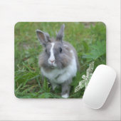 Kaninchen Mousepad (Mit Mouse)