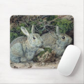 Kaninchen Mousepad (Mit Mouse)