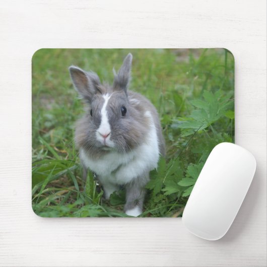 Kaninchen Mousepad (Mit Mouse)