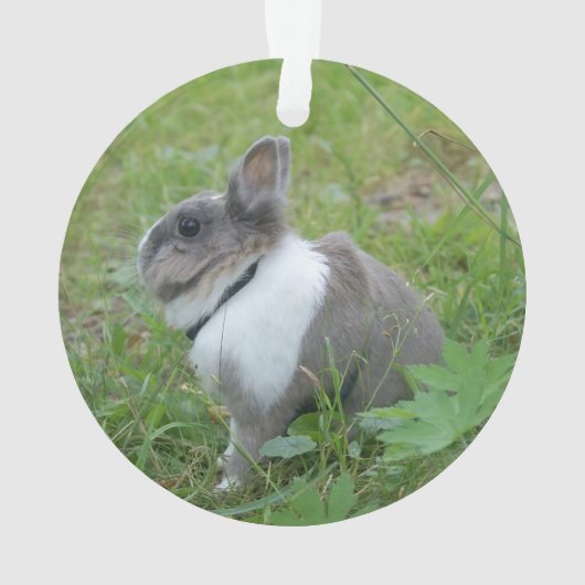 Kaninchen Ornament (Rückseite)