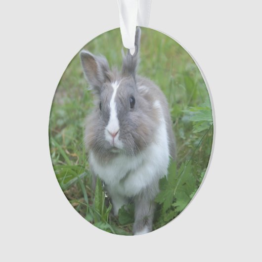 Kaninchen Ornament (Vorderseite)