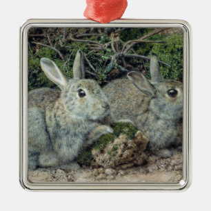Kaninchen Ornament Aus Metall