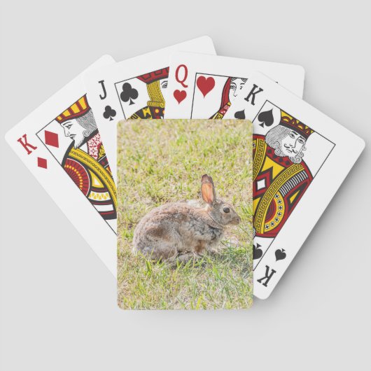 Kaninchen - Ostern - Wildtiere - Tierspiele Spielkarten (Rückseite)