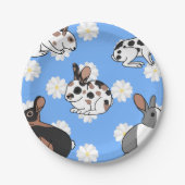 Kaninchen Pappteller (Vorderseite)