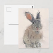 Kaninchen-Portrait Nr. 33 Postkarte (Vorne/Hinten)