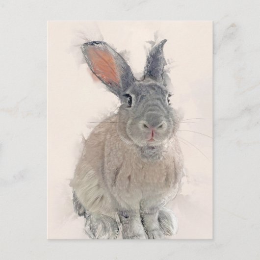 Kaninchen-Portrait Nr. 33 Postkarte (Vorderseite)