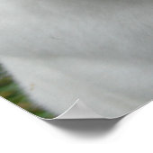 Kaninchen Poster (Ecke)