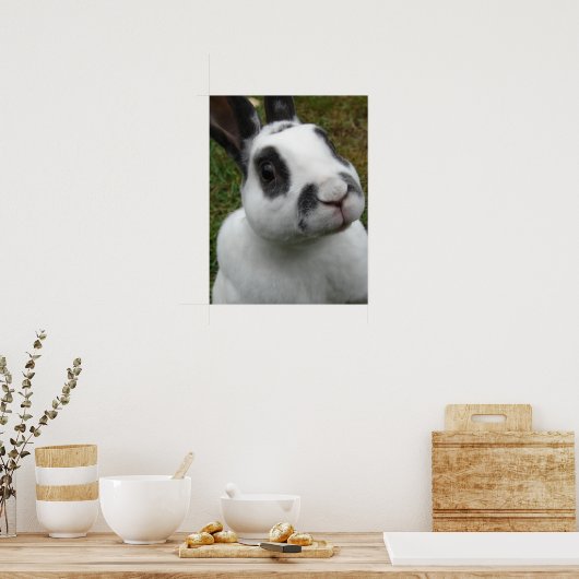 Kaninchen Poster (Küche)
