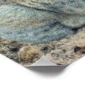 Kaninchen Poster (Ecke)