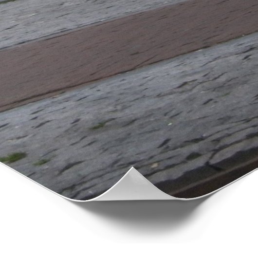 Kaninchen Poster (Ecke)