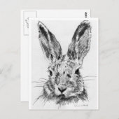 Kaninchen Postkarte (Vorne/Hinten)