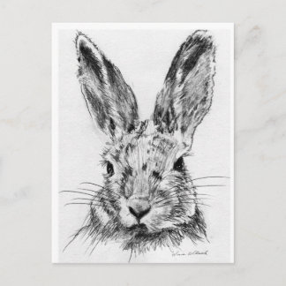 Kaninchen Postkarte