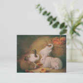 Kaninchen Postkarte (Stehend Vorderseite)
