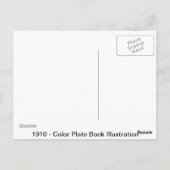 Kaninchen Postkarte (Rückseite)