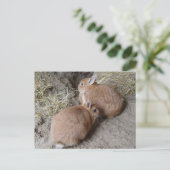 Kaninchen Postkarte (Stehend Vorderseite)