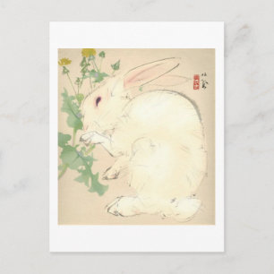 Kaninchen Postkarte