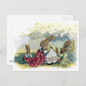 Kaninchen Postkarte (Vorne/Hinten)