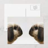 Kaninchen Postkarte (Vorne/Hinten)