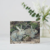 Kaninchen Postkarte (Stehend Vorderseite)