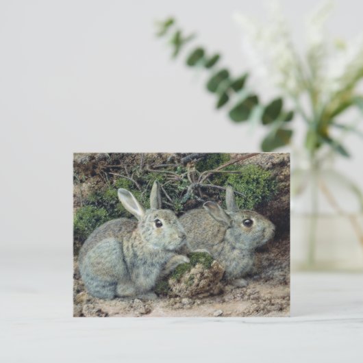 Kaninchen Postkarte (Stehend Vorderseite)