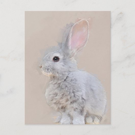 Kaninchen Postkarte Nr. 31 (Vorderseite)