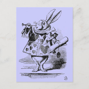 Kaninchen-Postkarte Postkarte