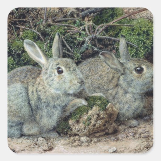 Kaninchen Quadratischer Aufkleber (Vorderseite)