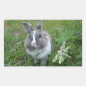 Kaninchen Rechteckiger Aufkleber (Vorderseite)