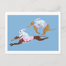Kaninchen reiten auf Windhunden Postkarte