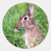 Kaninchen Runder Aufkleber (Vorderseite)