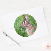 Kaninchen Runder Aufkleber (Umschlag)