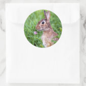 Kaninchen Runder Aufkleber (Tasche)