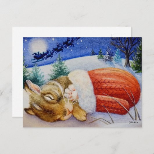 Kaninchen schläft in Santa's Mitten-Wasserfarben-K Postkarte (Vorne/Hinten)