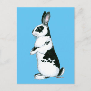 Kaninchen: Schwarz und Weiß Postkarte