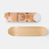 Kaninchen Skateboard (Horizontal)