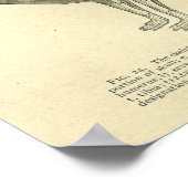 Kaninchen Skelett Anatomie Vintage Veterinärmedizi Poster (Ecke)