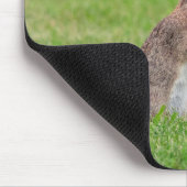 Kaninchen stehend im Gras und schüchtern aussehen Mousepad (Ecke)