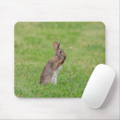 Kaninchen stehend im Gras und schüchtern aussehen Mousepad (Mit Mouse)