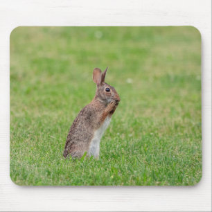 Kaninchen stehend im Gras und schüchtern aussehen Mousepad