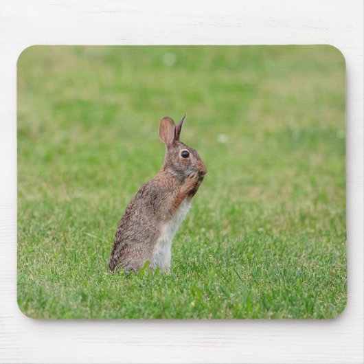 Kaninchen stehend im Gras und schüchtern aussehen Mousepad (Vorne)