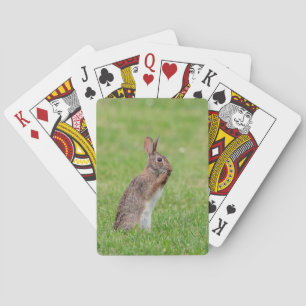 Kaninchen stehend im Gras und schüchtern aussehen Spielkarten