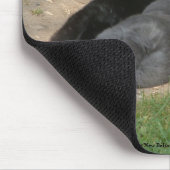 Kaninchen streckten sich aus - Mousemat. Anpassen. Mousepad (Ecke)