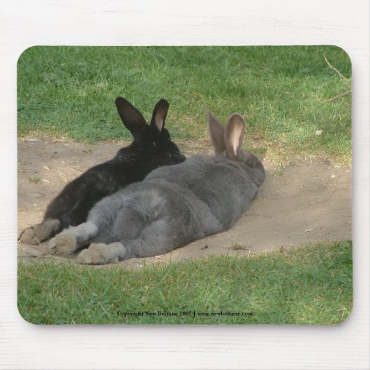 Kaninchen streckten sich aus - Mousemat. Anpassen. Mousepad (Vorne)