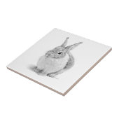 Kaninchen-Tag Fliese (Seite)