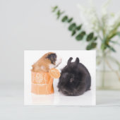 Kaninchen und Guinea Postkarte (Stehend Vorderseite)